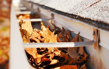 Wentworth gutter cleaning companies