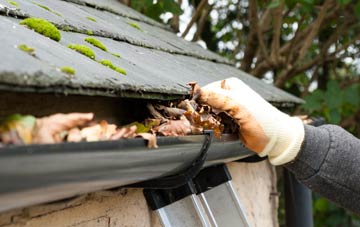 gutter cleaning Wentworth